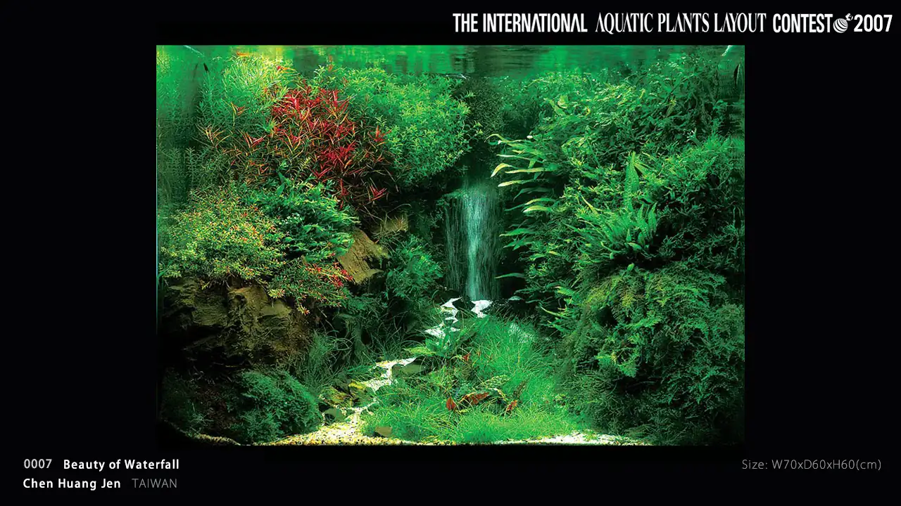 TOP 27 IAPLC 2007 - Look back history