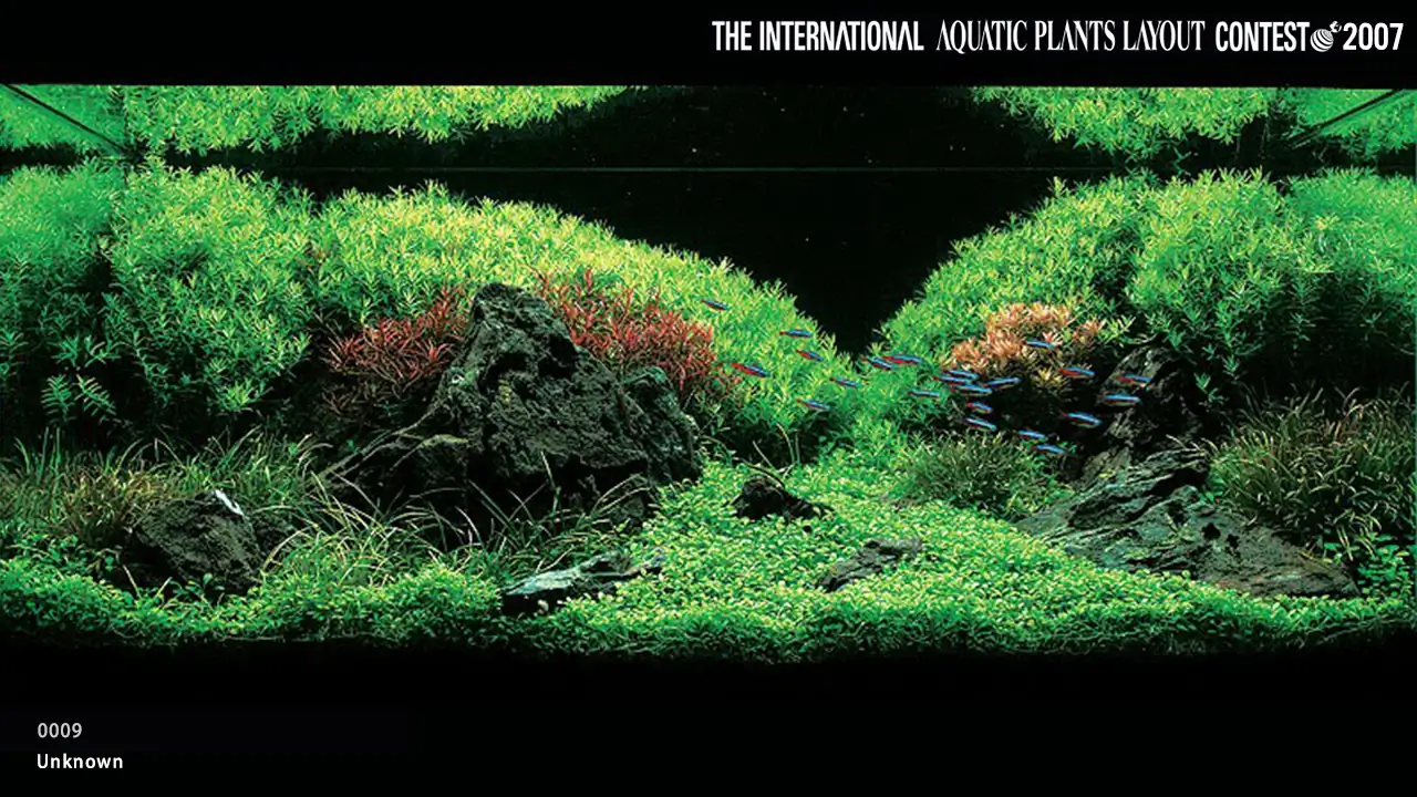 TOP 27 IAPLC 2007 - Look back history