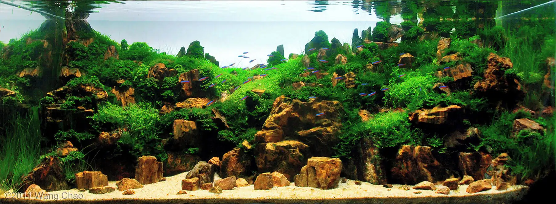 Verdant Gorge - IAPLC 2011 Rank 15th - WangChao / China