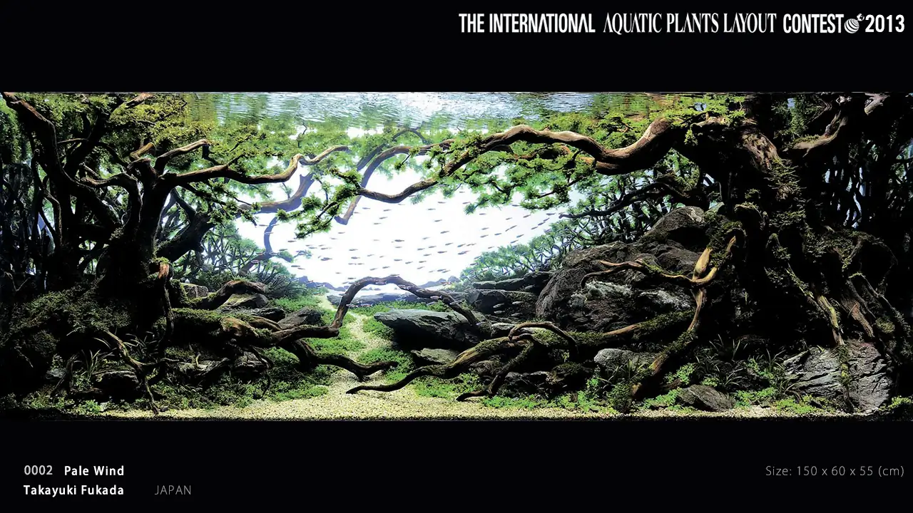 [TheStoriesOfTop7] Pale Wind - Takayuki Fukada / Japan - IAPLC 2013