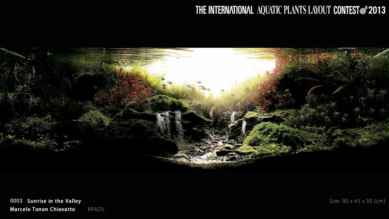 [TheStoriesOfTop7] Sunrise in the Valley - Marcelo Tonon Chiovatoo / Brazil - IAPLC 2013