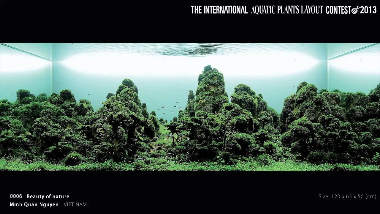 [TheStoriesOfTop7] Beauty of nature - Quan Nguyen Minh / VietNam - IAPLC 2013