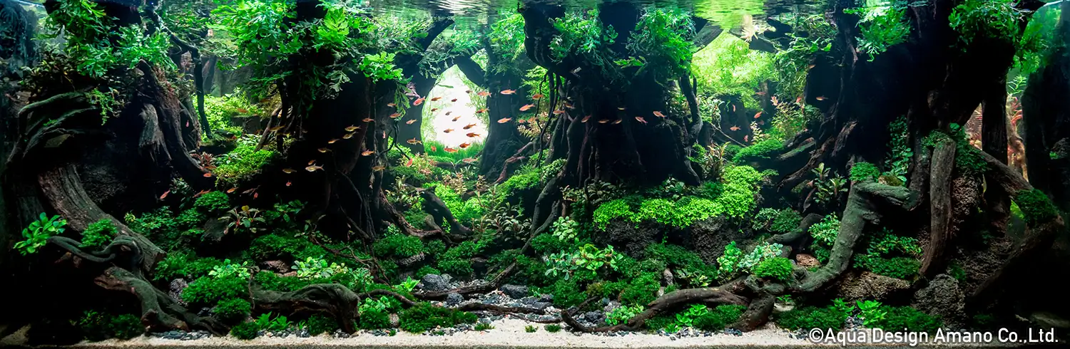 [TheStoriesOfTop7] Leading The New World - Roger Goh / Singapore - IAPLC 2020
