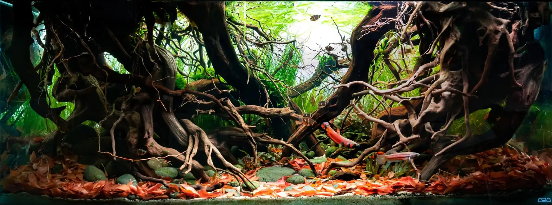 Habitat - IAPLC 2022 - Masashi Ono / Japan