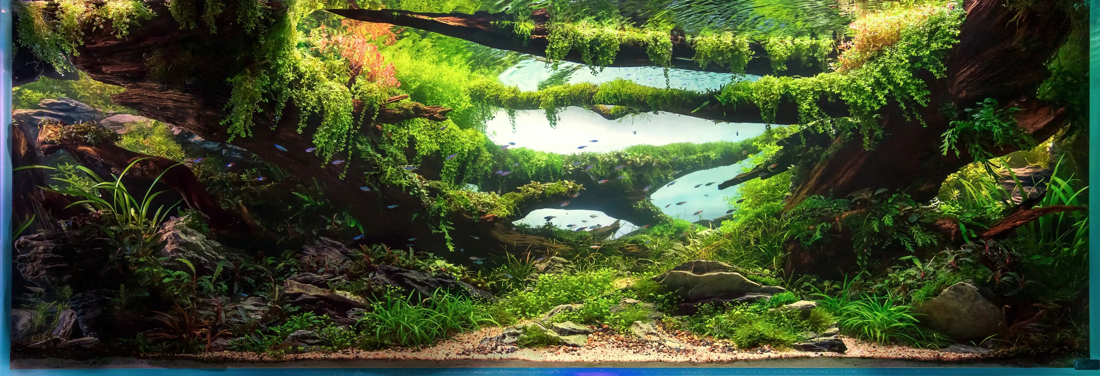 Imagine. Living Under Primeval Dragons 