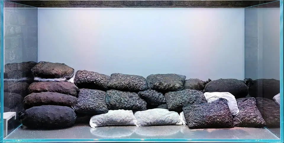 Steps progression IAPLC 2022 Rank 115 Last Day - Damien Agro / France