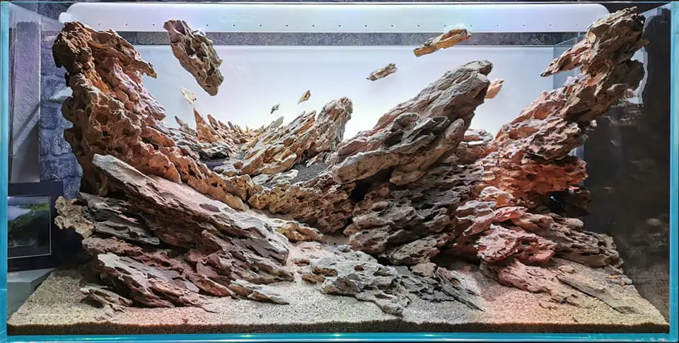 Steps progression IAPLC 2022 Rank 115 Last Day - Damien Agro / France