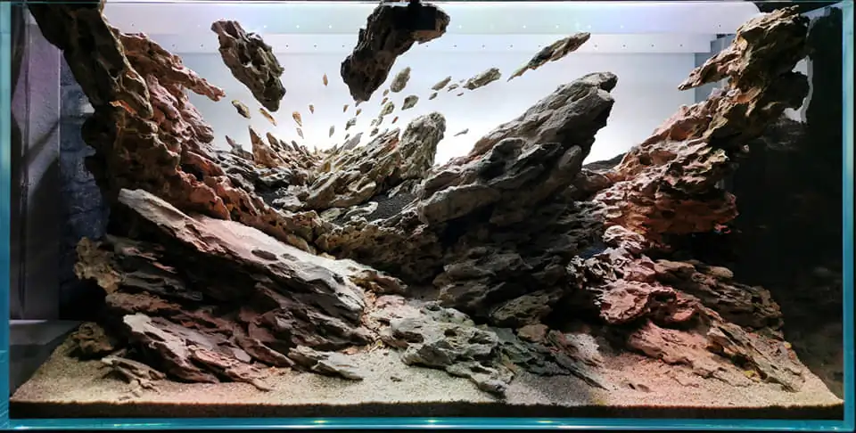 Steps progression IAPLC 2022 Rank 115 Last Day - Damien Agro / France