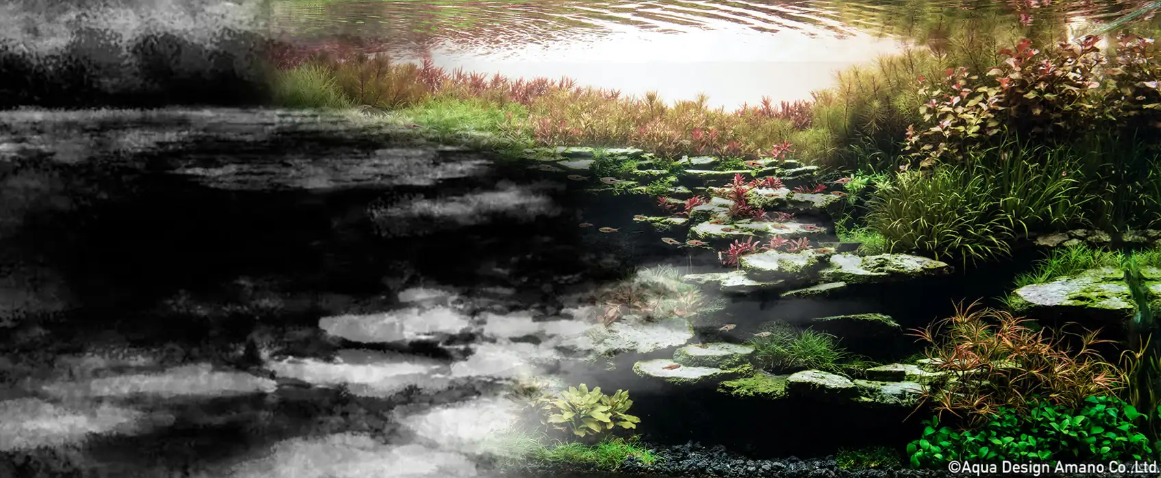 Aquascaping steps IAPLC 2023 - Rank 08 - Eri Tokusasahi / Japan