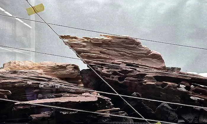 Aquascaping steps Color layers of the earth IAPLC 2024 - Kazuma Takeuchi / Japan