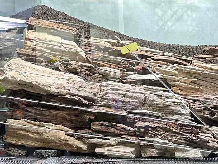Aquascaping steps Color layers of the earth IAPLC 2024 - Kazuma Takeuchi / Japan