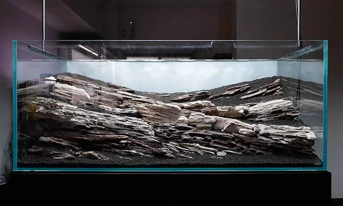 Aquascaping steps Color layers of the earth IAPLC 2024 - Kazuma Takeuchi / Japan