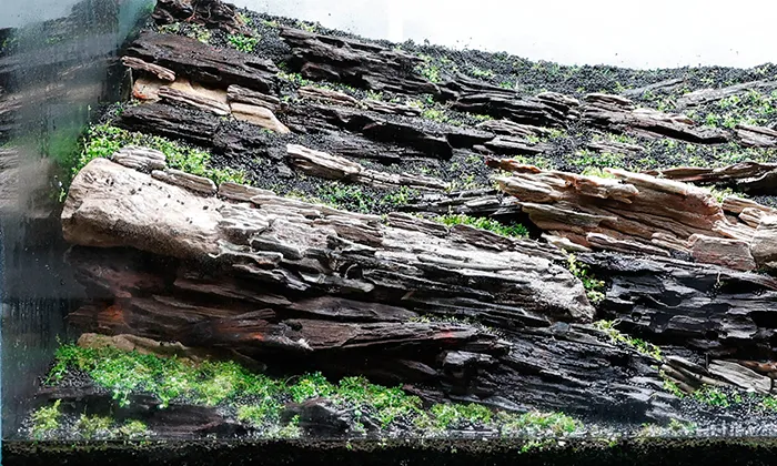 Aquascaping steps Color layers of the earth IAPLC 2024 - Kazuma Takeuchi / Japan