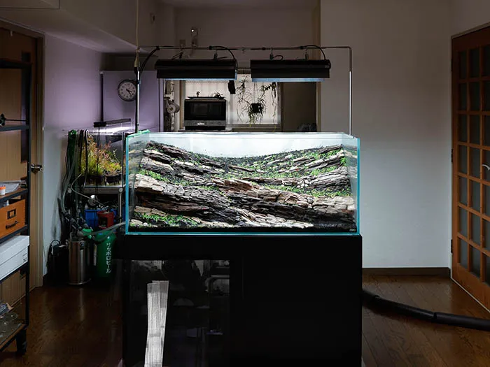 Aquascaping steps Color layers of the earth IAPLC 2024 - Kazuma Takeuchi / Japan