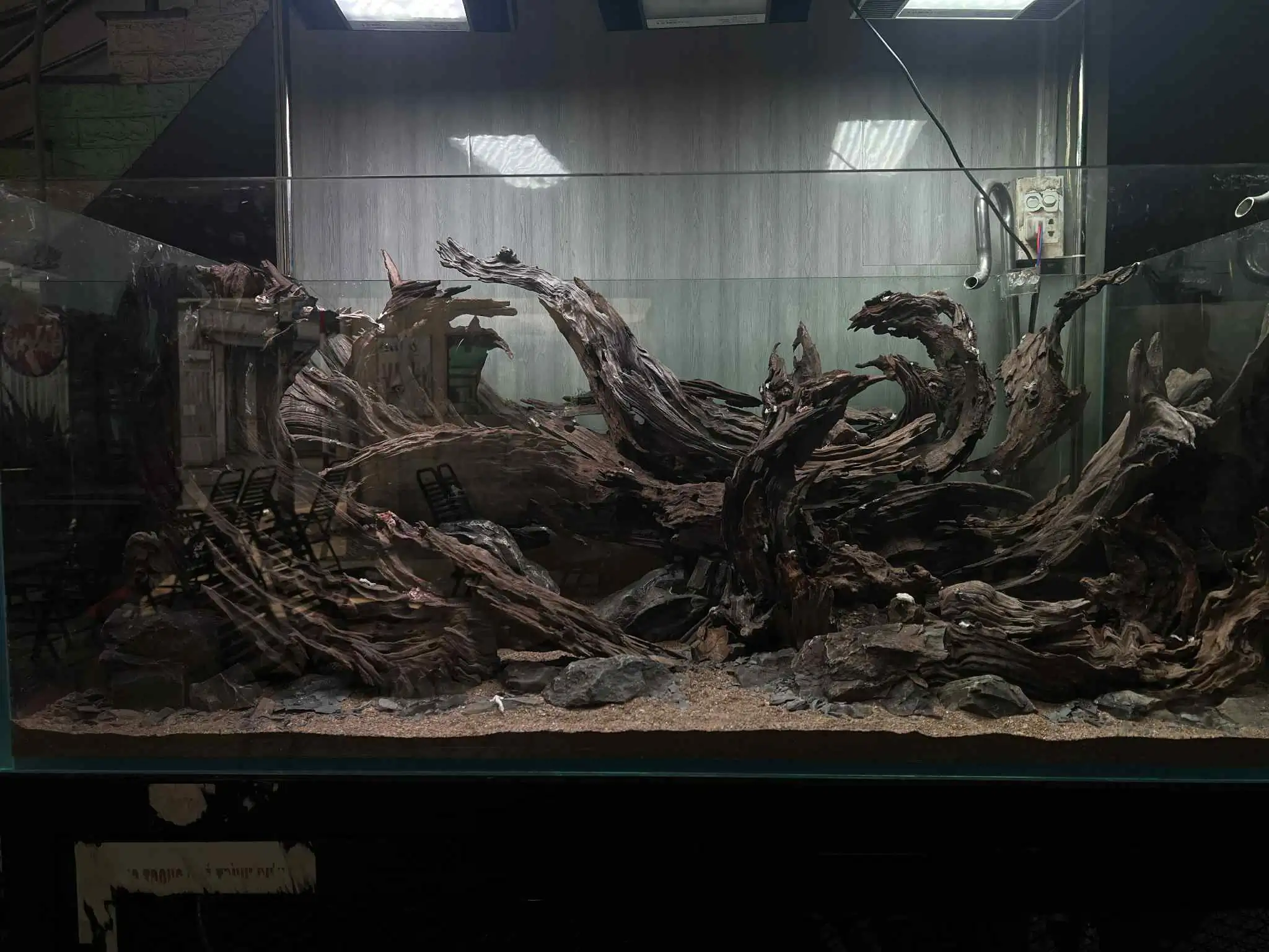 Aquascaping steps - Forest Spirit - IAPLC 2025 Fine Works - Vo Truong Nghia / Vietnam