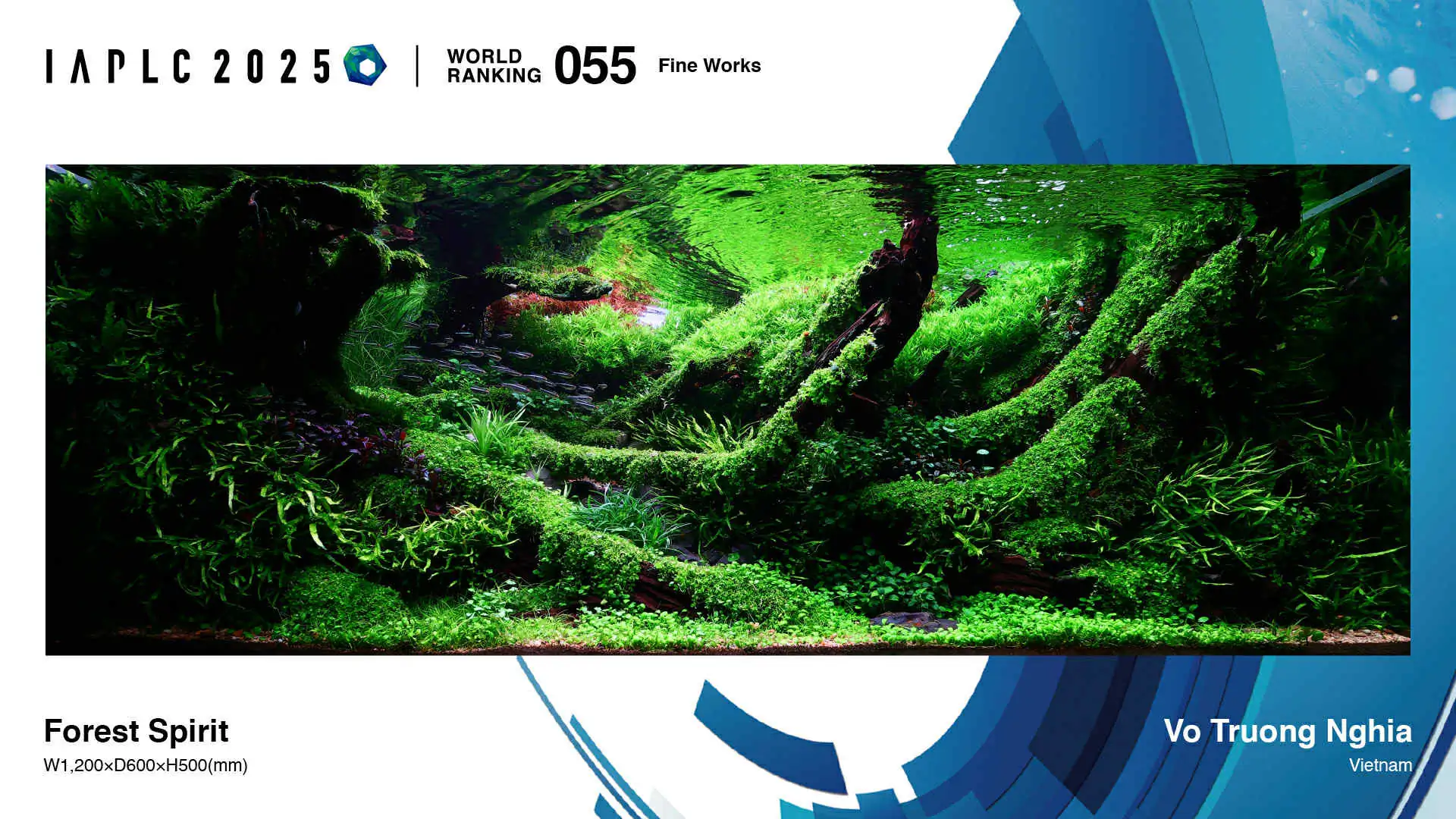 Aquascaping steps - Forest Spirit - IAPLC 2025 Fine Works - Vo Truong Nghia / Vietnam