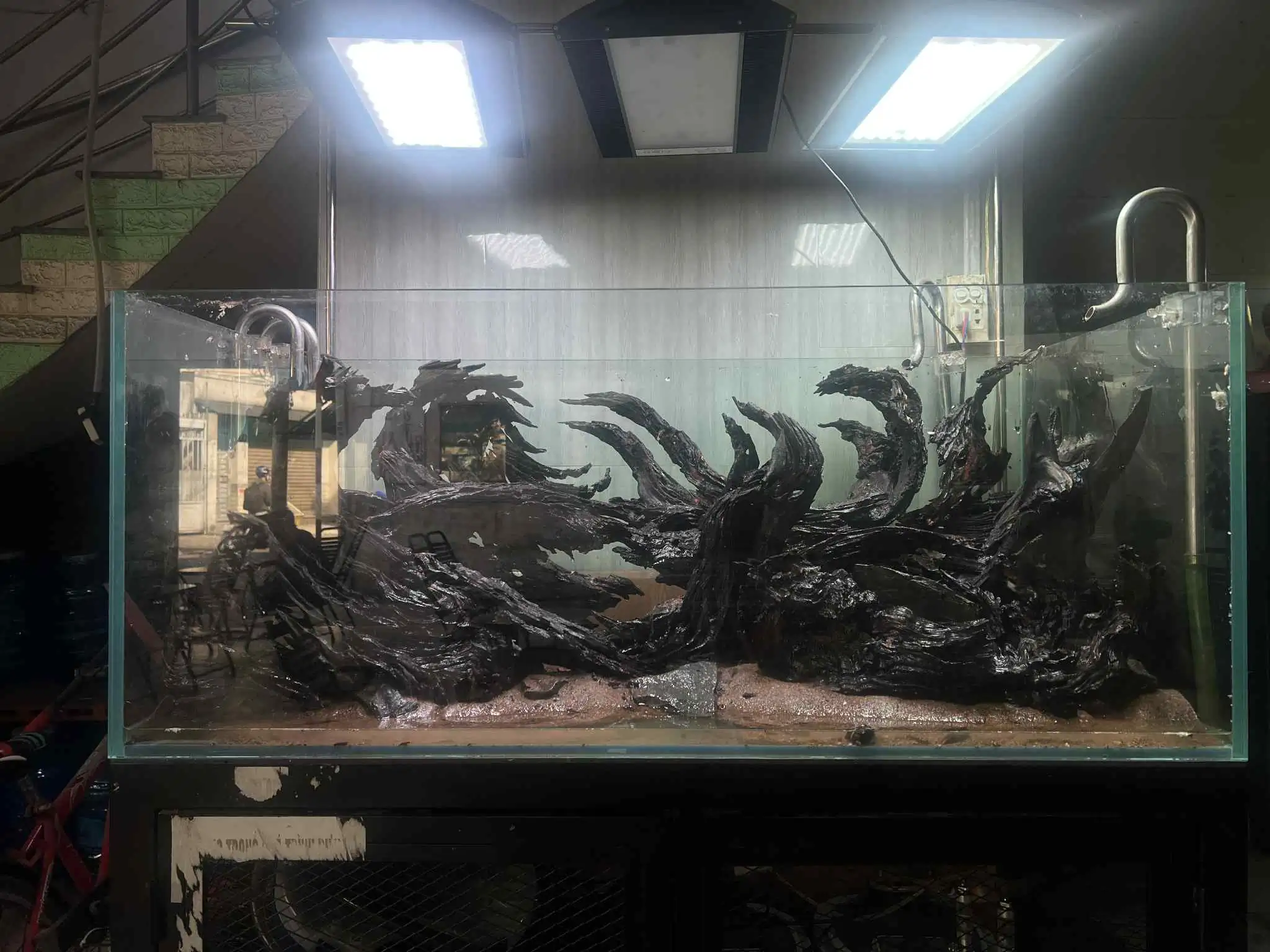 Aquascaping steps - Forest Spirit - IAPLC 2025 Fine Works - Vo Truong Nghia / Vietnam