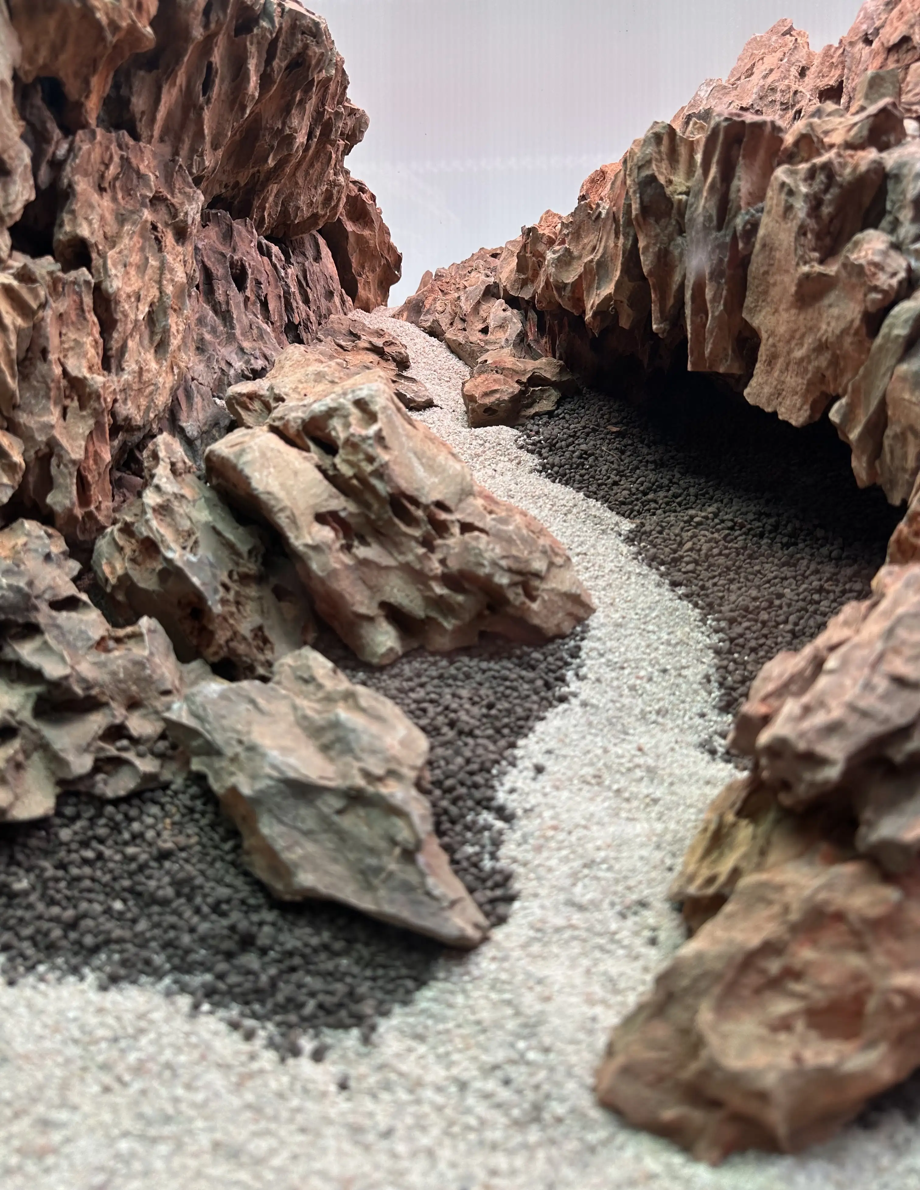 Aquascaping steps - Hidden aquatic realms - IAPLC 2025 Fine Works - Benjamin Stofferus / Belgium