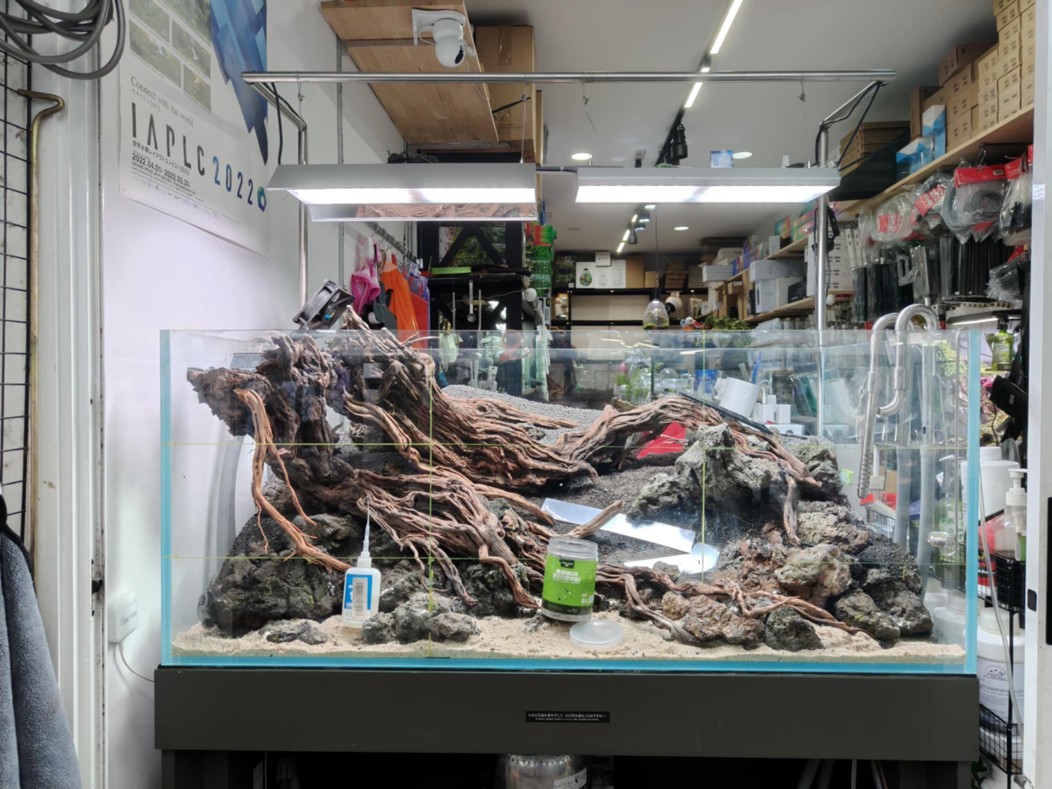 Aquascaping steps - Longevity - IAPLC 2025 Fine Works - Kawin Arponiam / Thailand