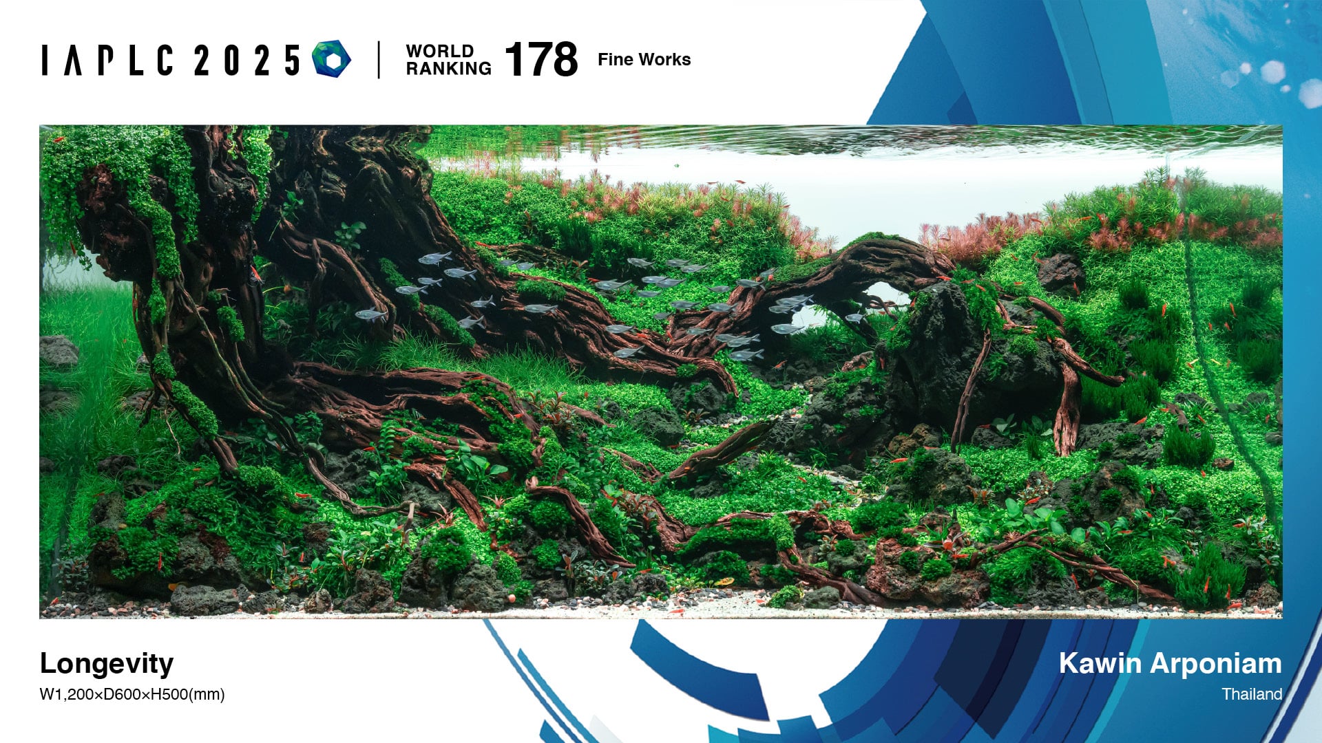 Aquascaping steps - Longevity - IAPLC 2025 Fine Works - Kawin Arponiam / Thailand