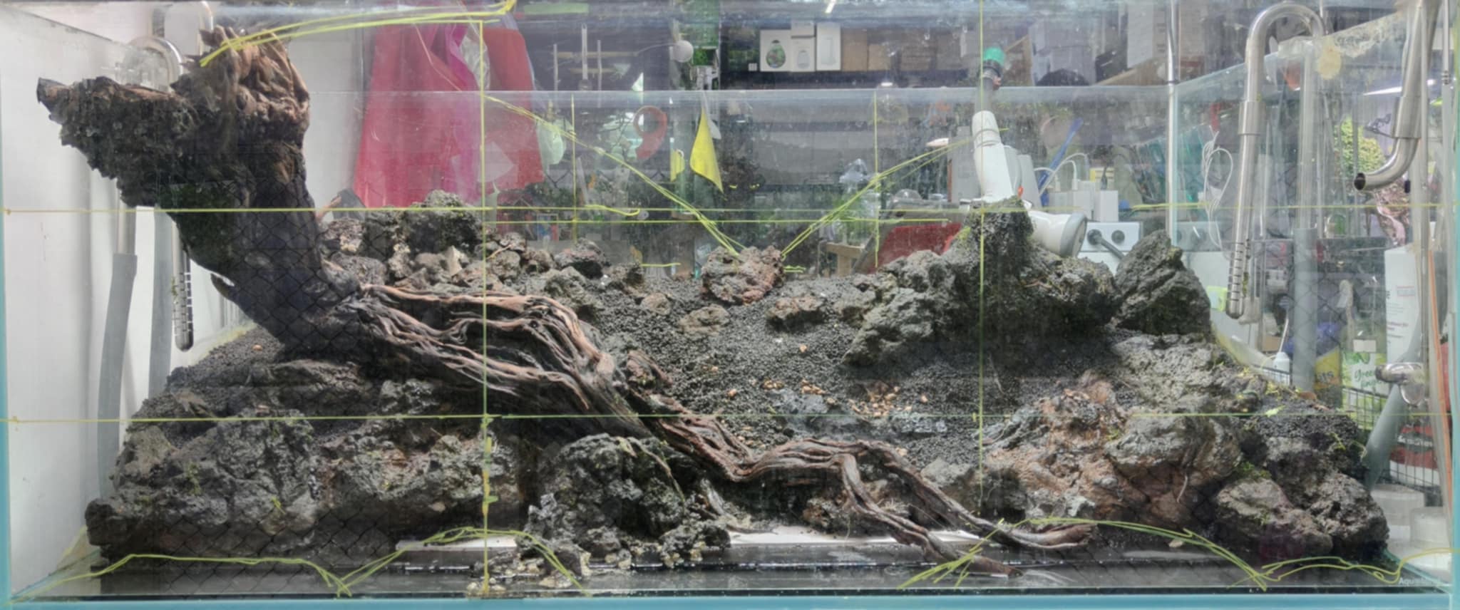 Aquascaping steps - Longevity - IAPLC 2025 Fine Works - Kawin Arponiam / Thailand