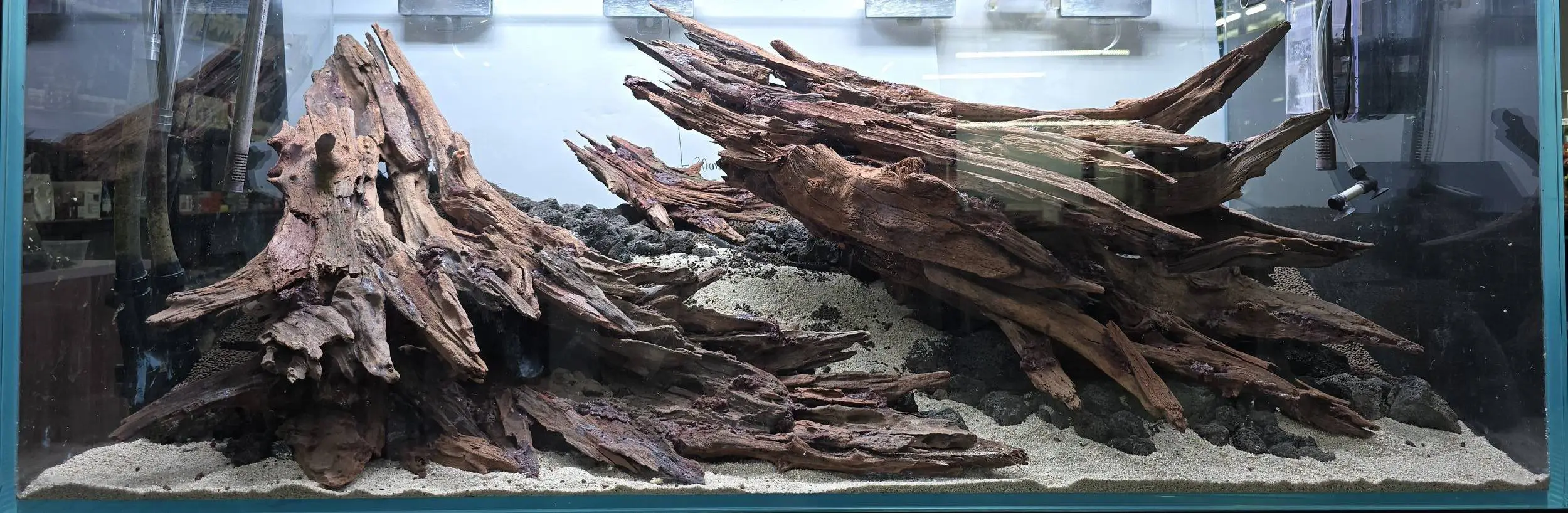 Aquascaping steps - Nebula - IAPLC 2025 Bronze Prize - Kiat Fuil Yap / Malaysia