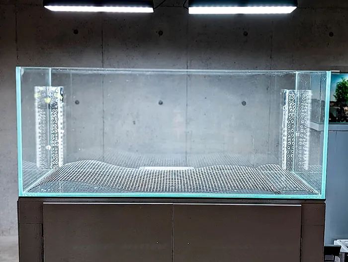 Aquascaping steps - PRIMAL BUST - IAPLC 2025 Silver Prize - Katsuki Tanaka / Japan Aquascaping steps - PRIMAL BUST - IAPLC 2025 Silver Prize - Katsuki Tanaka / Japan