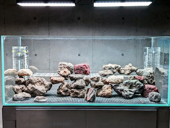 Aquascaping steps - PRIMAL BUST - IAPLC 2025 Silver Prize - Katsuki Tanaka / Japan Aquascaping steps - PRIMAL BUST - IAPLC 2025 Silver Prize - Katsuki Tanaka / Japan