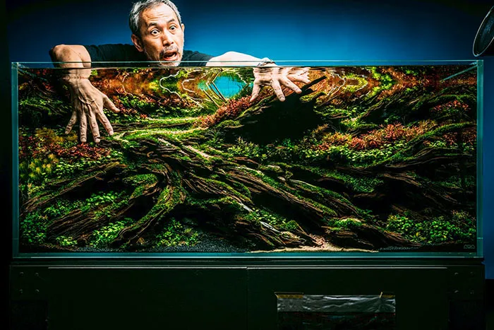 Aquascaping steps - PRIMAL BUST - IAPLC 2025 Silver Prize - Katsuki Tanaka / Japan Aquascaping steps - PRIMAL BUST - IAPLC 2025 Silver Prize - Katsuki Tanaka / Japan