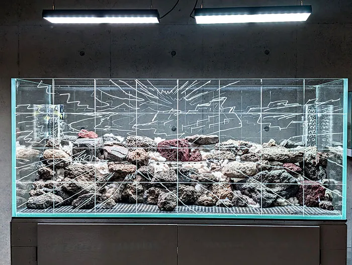 Aquascaping steps - PRIMAL BUST - IAPLC 2025 Silver Prize - Katsuki Tanaka / Japan Aquascaping steps - PRIMAL BUST - IAPLC 2025 Silver Prize - Katsuki Tanaka / Japan