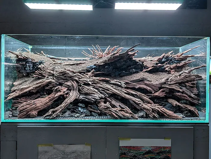 Aquascaping steps - PRIMAL BUST - IAPLC 2025 Silver Prize - Katsuki Tanaka / Japan Aquascaping steps - PRIMAL BUST - IAPLC 2025 Silver Prize - Katsuki Tanaka / Japan