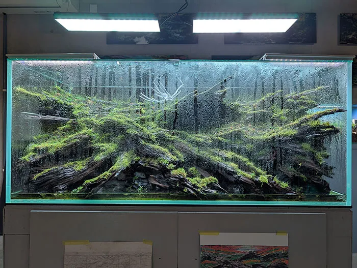 Aquascaping steps - PRIMAL BUST - IAPLC 2025 Silver Prize - Katsuki Tanaka / Japan Aquascaping steps - PRIMAL BUST - IAPLC 2025 Silver Prize - Katsuki Tanaka / Japan