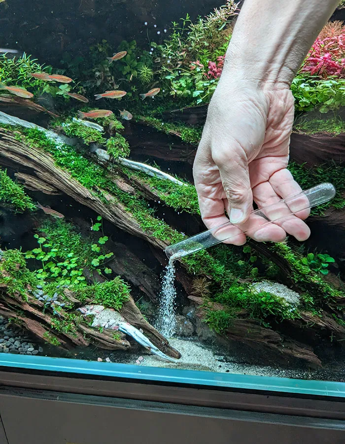Aquascaping steps - PRIMAL BUST - IAPLC 2025 Silver Prize - Katsuki Tanaka / Japan Aquascaping steps - PRIMAL BUST - IAPLC 2025 Silver Prize - Katsuki Tanaka / Japan