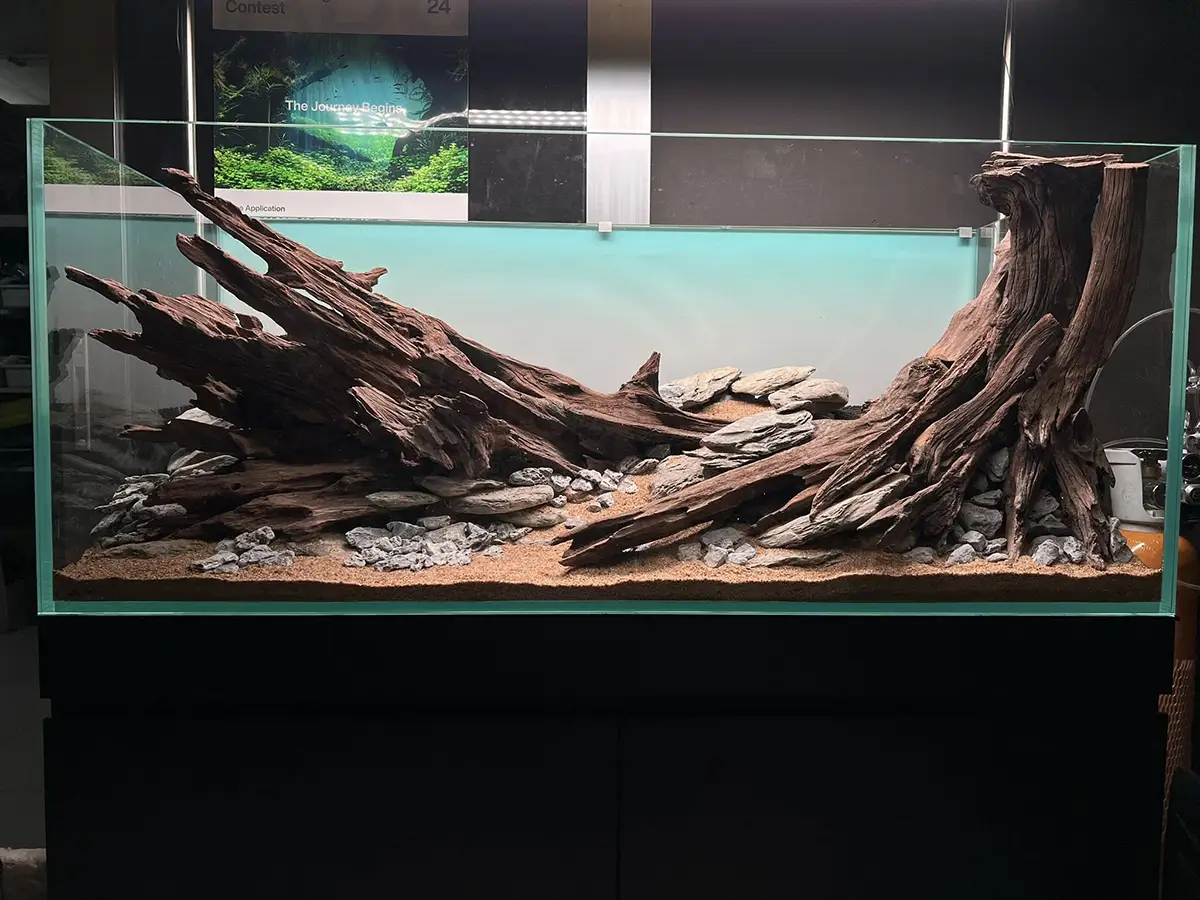 Aquascaping steps - Silent Grove - IAPLC 2025 Fine Works - Chau Yuan Wu / Malaysia