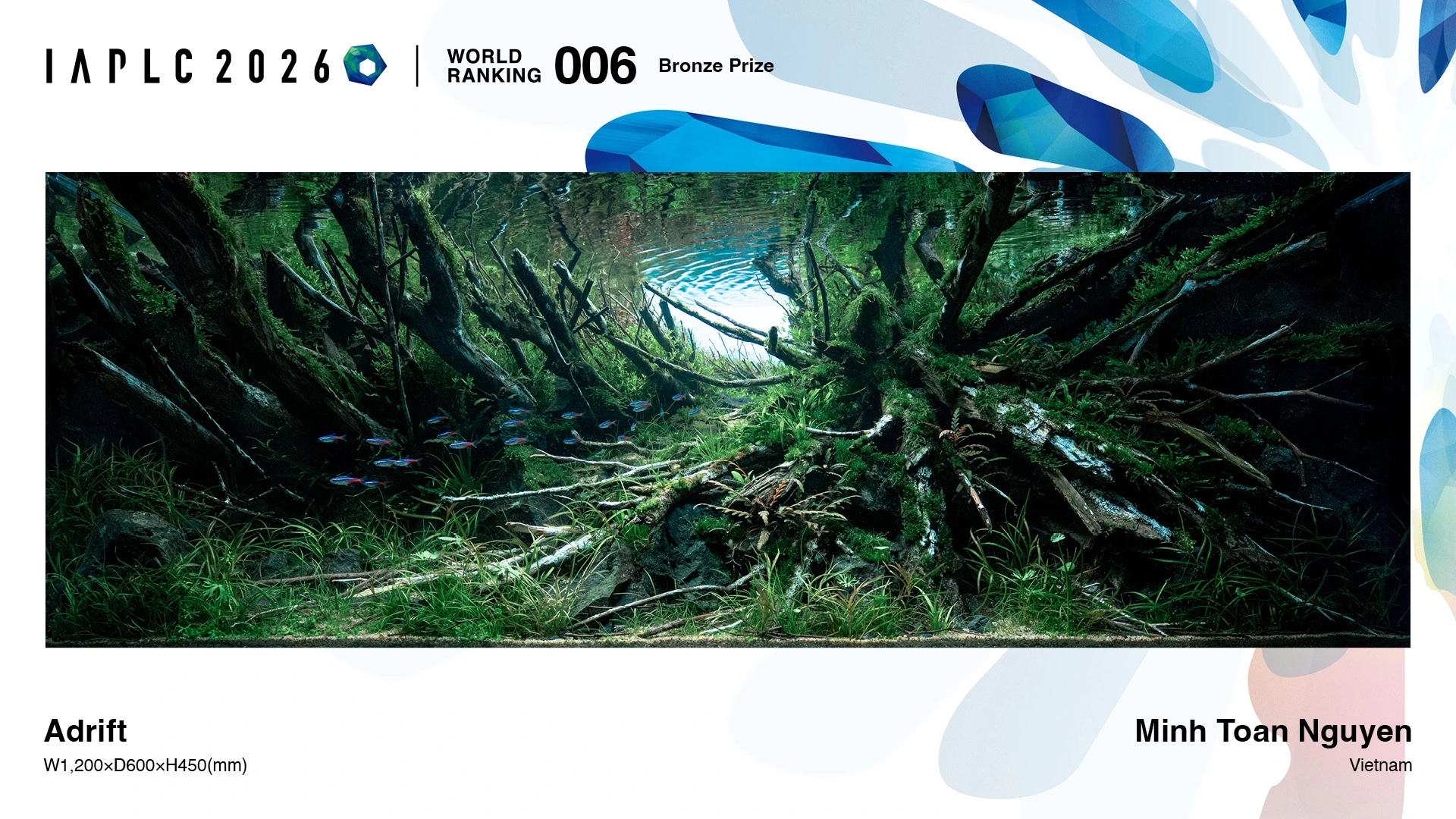 Adrift by Minh Toan Nguyen of Vietnam, Bronze Prize and world rank 6 at IAPLC 2026.