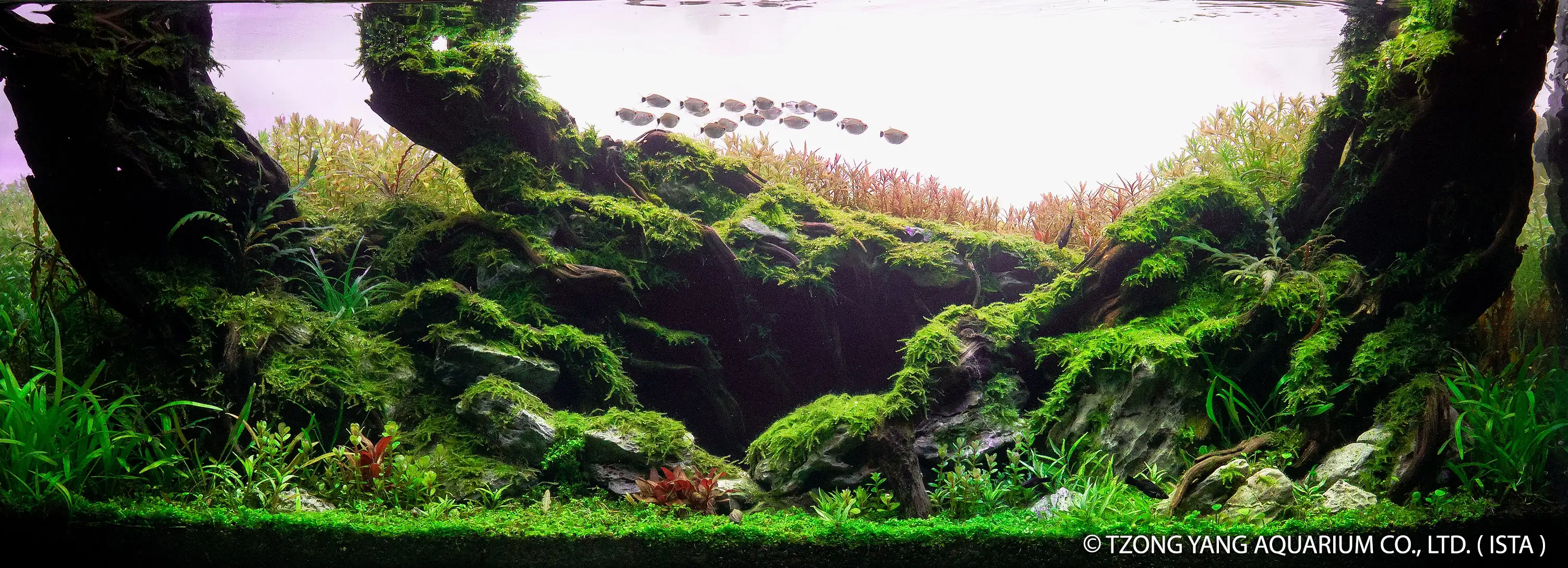 The Great Hole - IIAC 2019 #21 - Matthew Israel Manes / Philippines