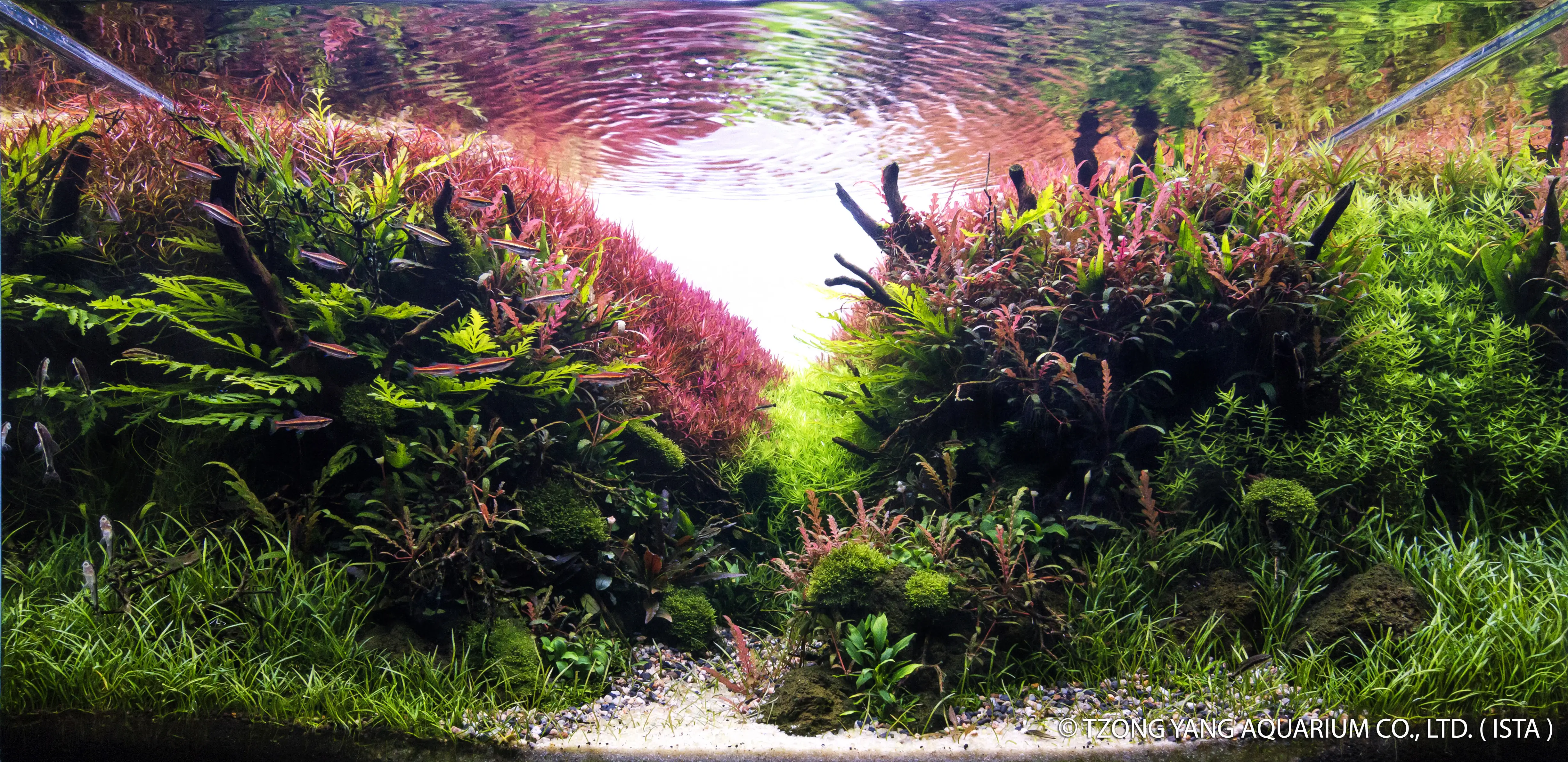 Colourful River Bank - IIAC 2019 #22 - Filipe Oliveira / Portugal