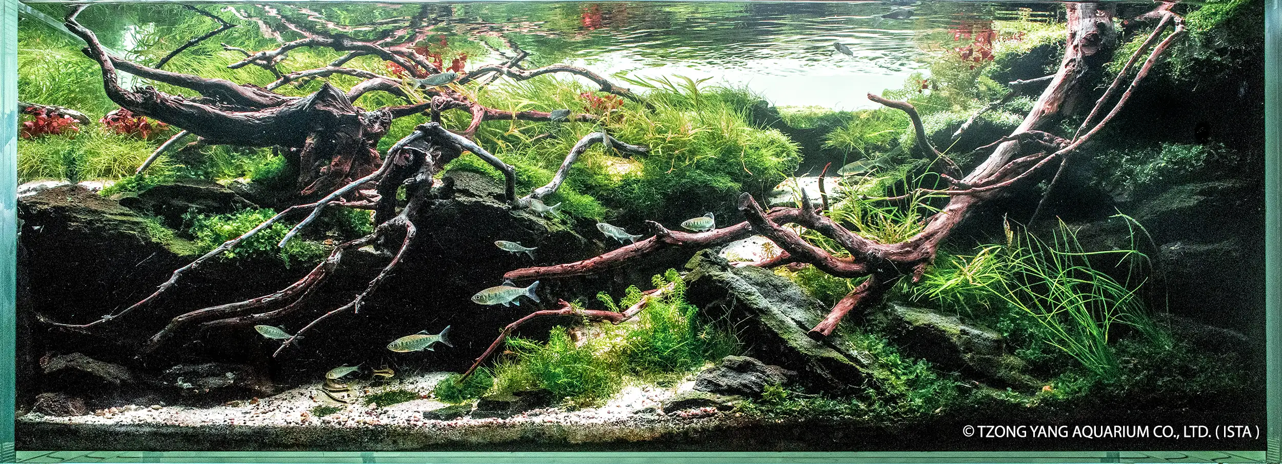 River by you - IIAC 2019 #34 - Steven Chong / Japan