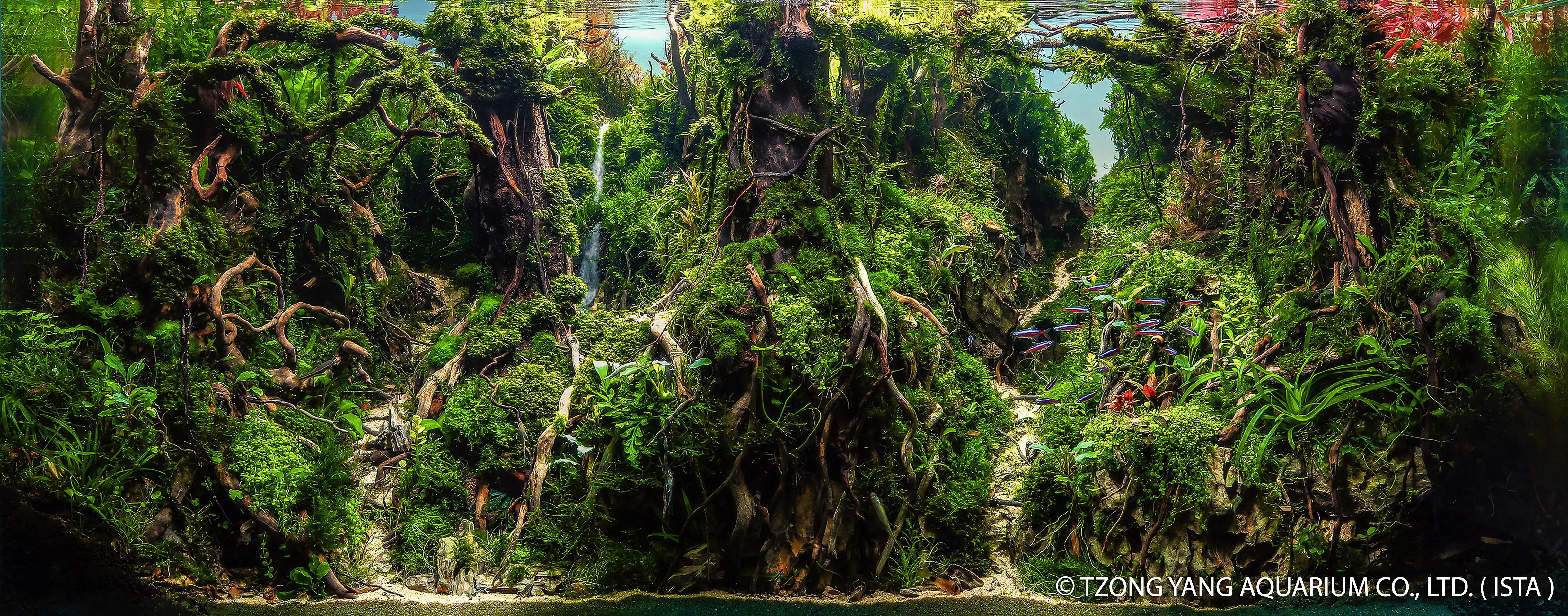 If the Planet Dont Warm - IIAC 2019 #37 - Hootan maftoonian / Iran