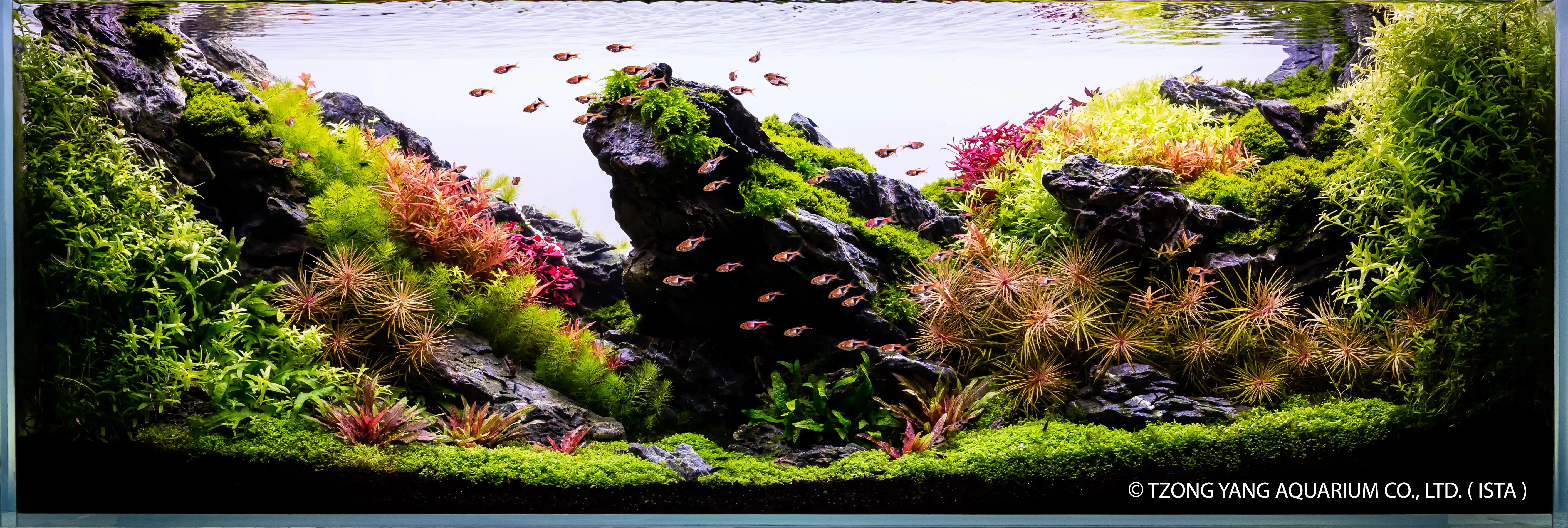 Abundance - IIAC 2019 #42 - Jeff Miotke / United States