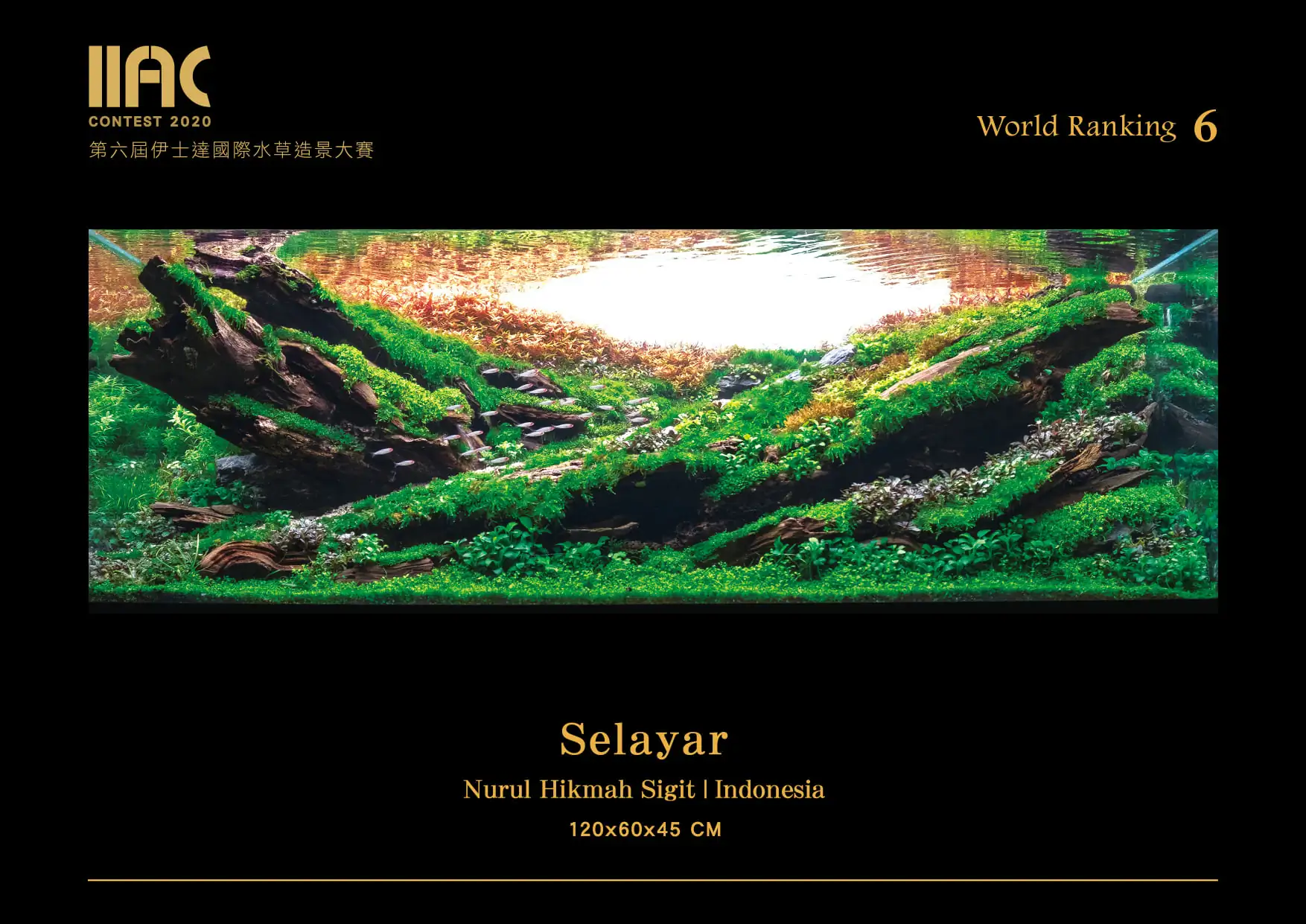 Selayar - IIAC 2021 #06 - Nurul Hikmah Sigit / Indonesia