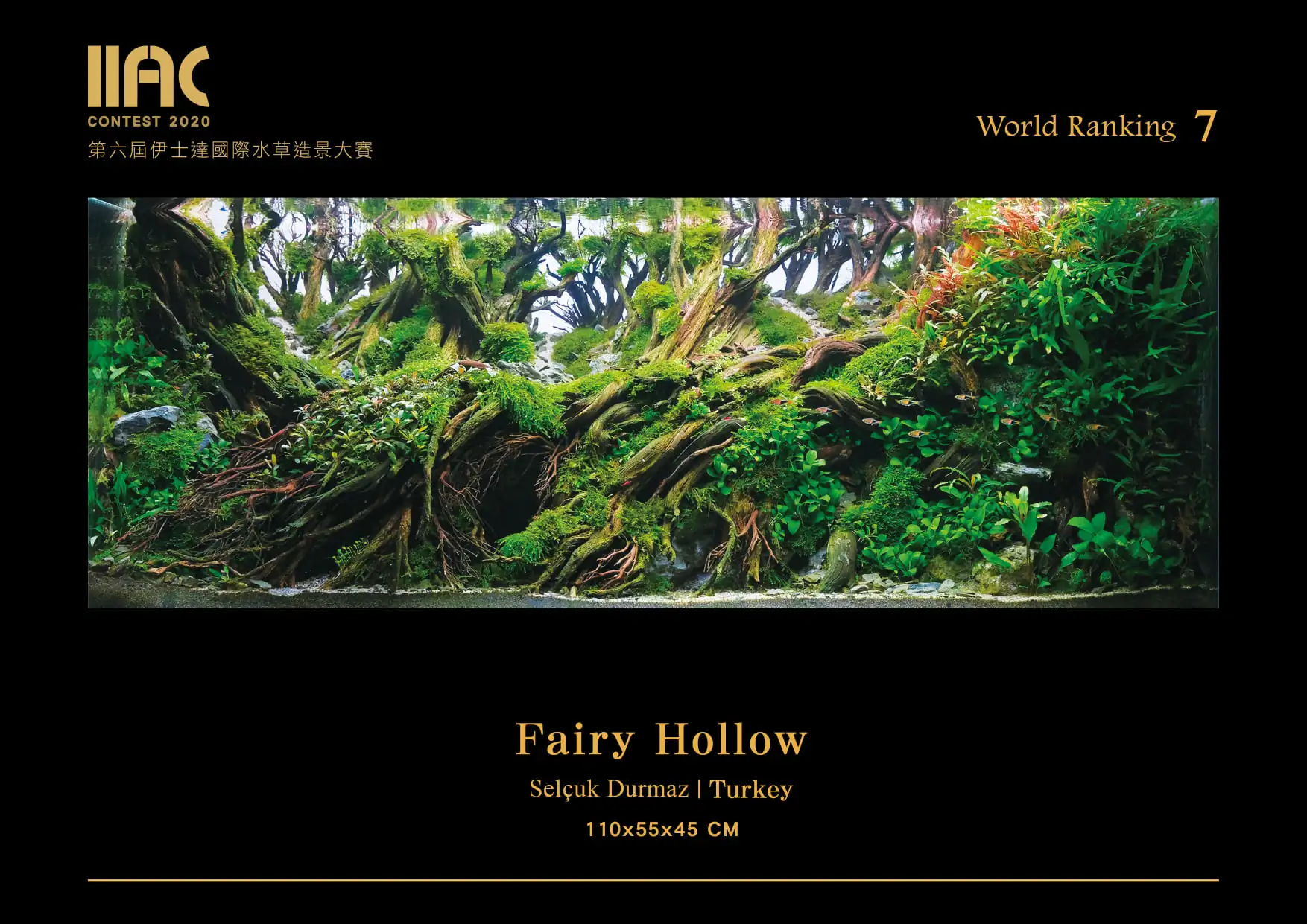Fairy Hollow - IIAC 2021 #07 - Selcuk Durmaz / Turkey