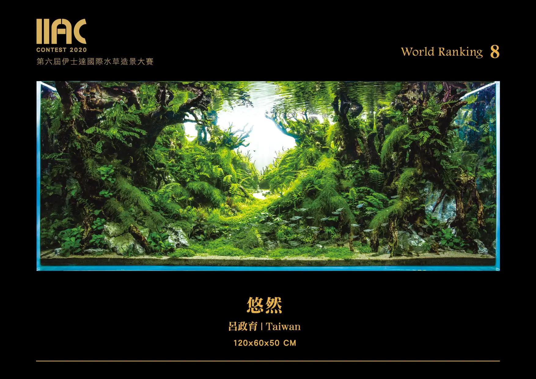 Leisure - IIAC 2021 #08 - Lu Zhengyu / Taiwan