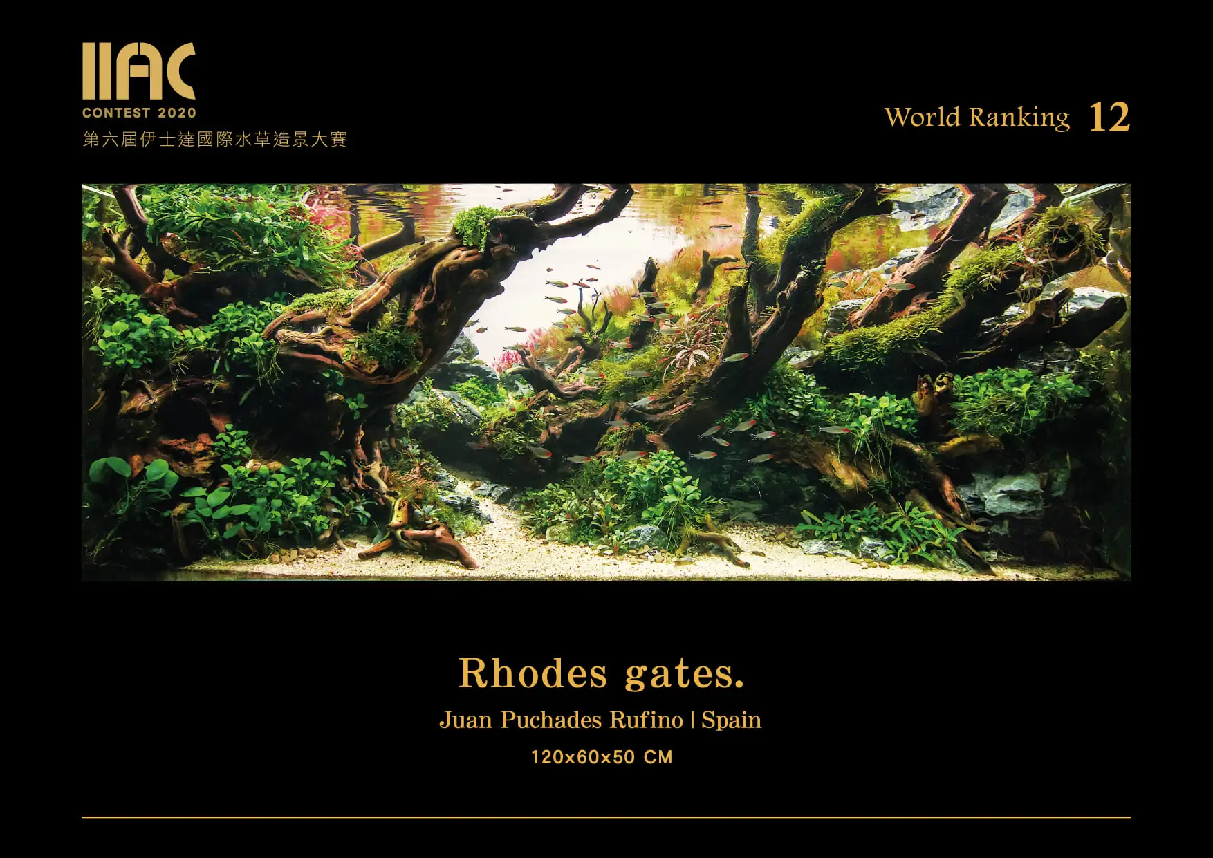 Rhodes gates - IIAC 2020 #12 Juan Puchades Rufino / Spain