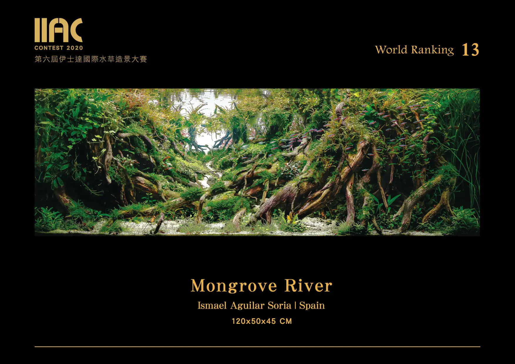 Mangrove River - IIAC 2020 #13 Ismael Aguilar Soria / Spain