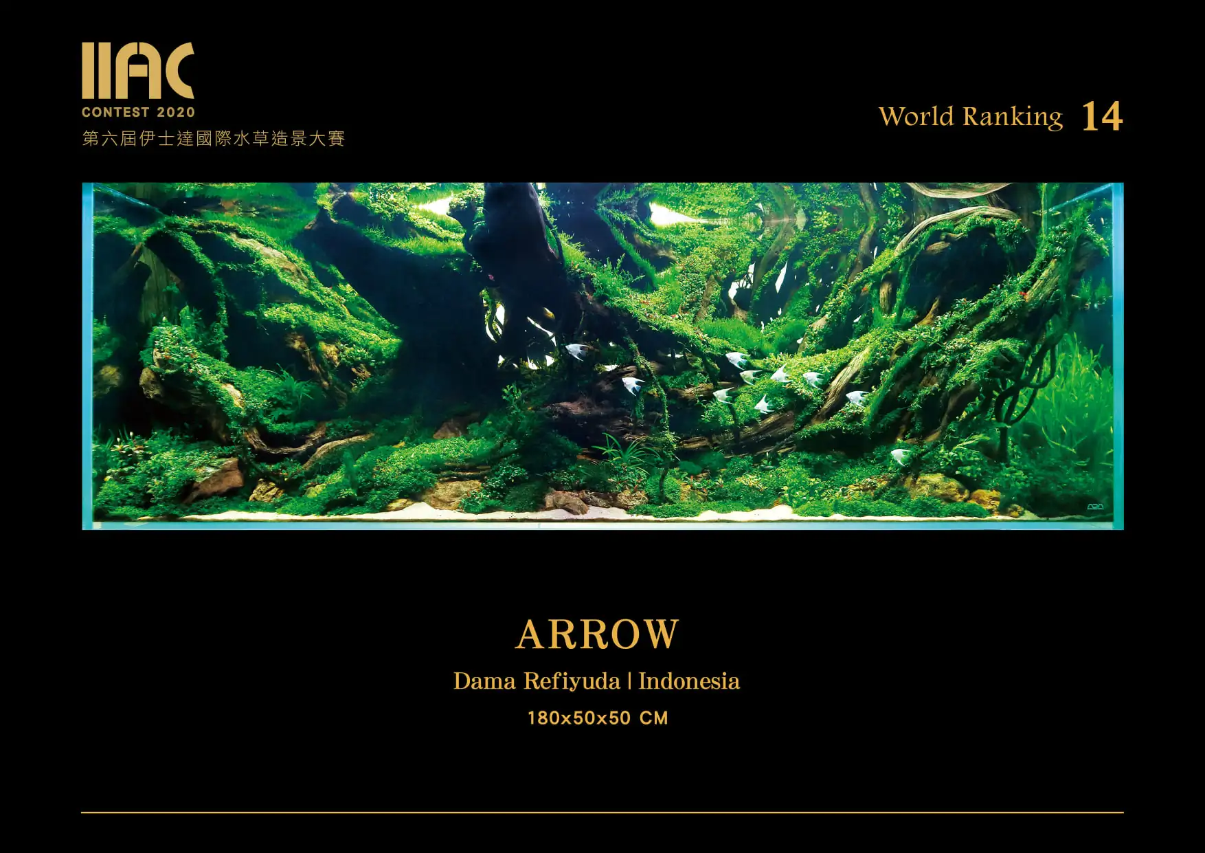 Arrow - IIAC 2020 #14 Dama Refiyuda / Indonesia