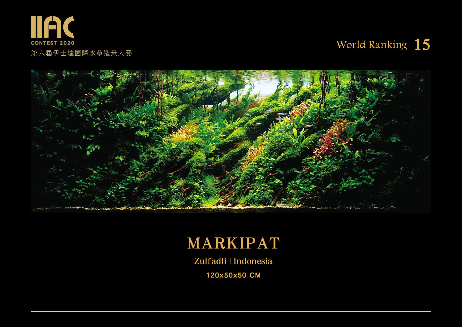 Markipat - IIAC 2020 #15 Zulfadli / Indonesia