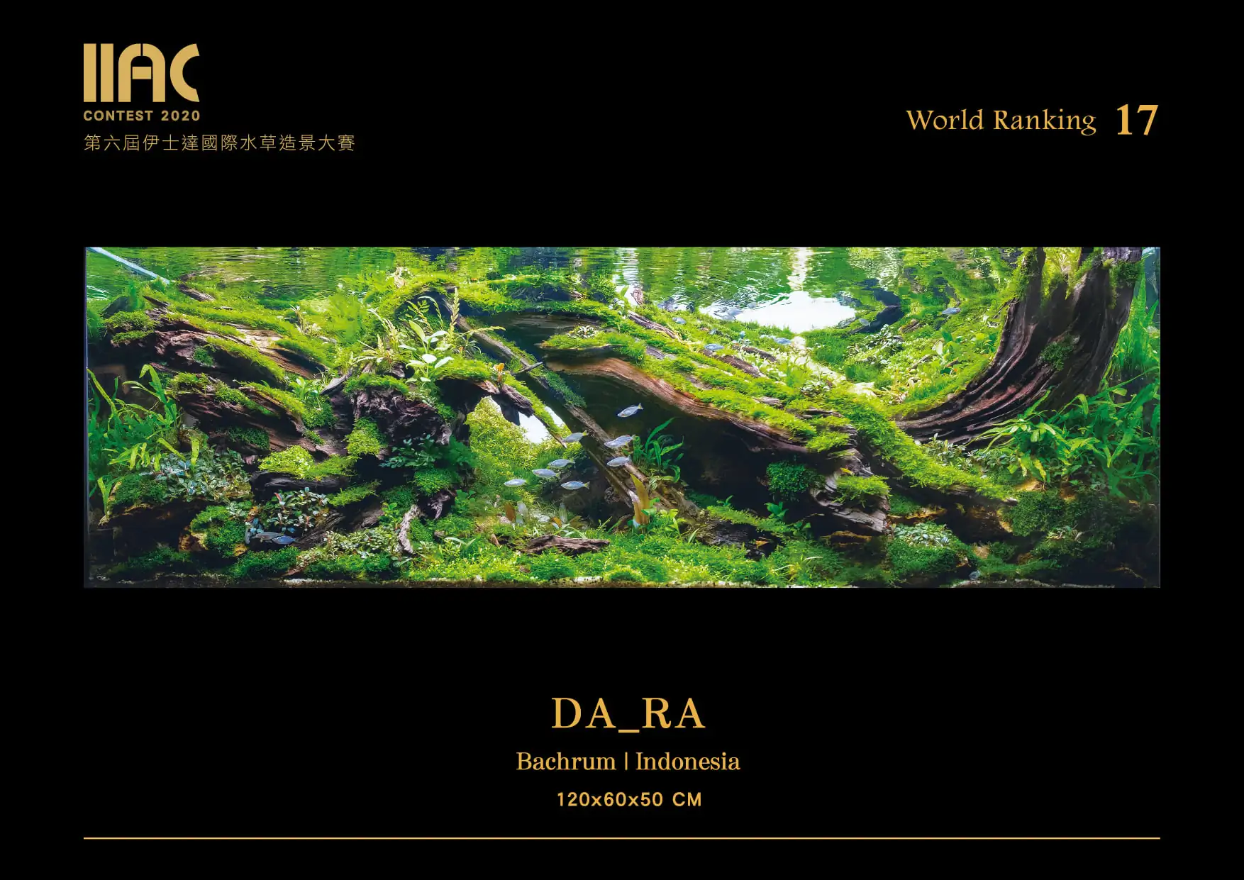 DA_RA - IIAC 2020 #17 Bachrum / Indonesia