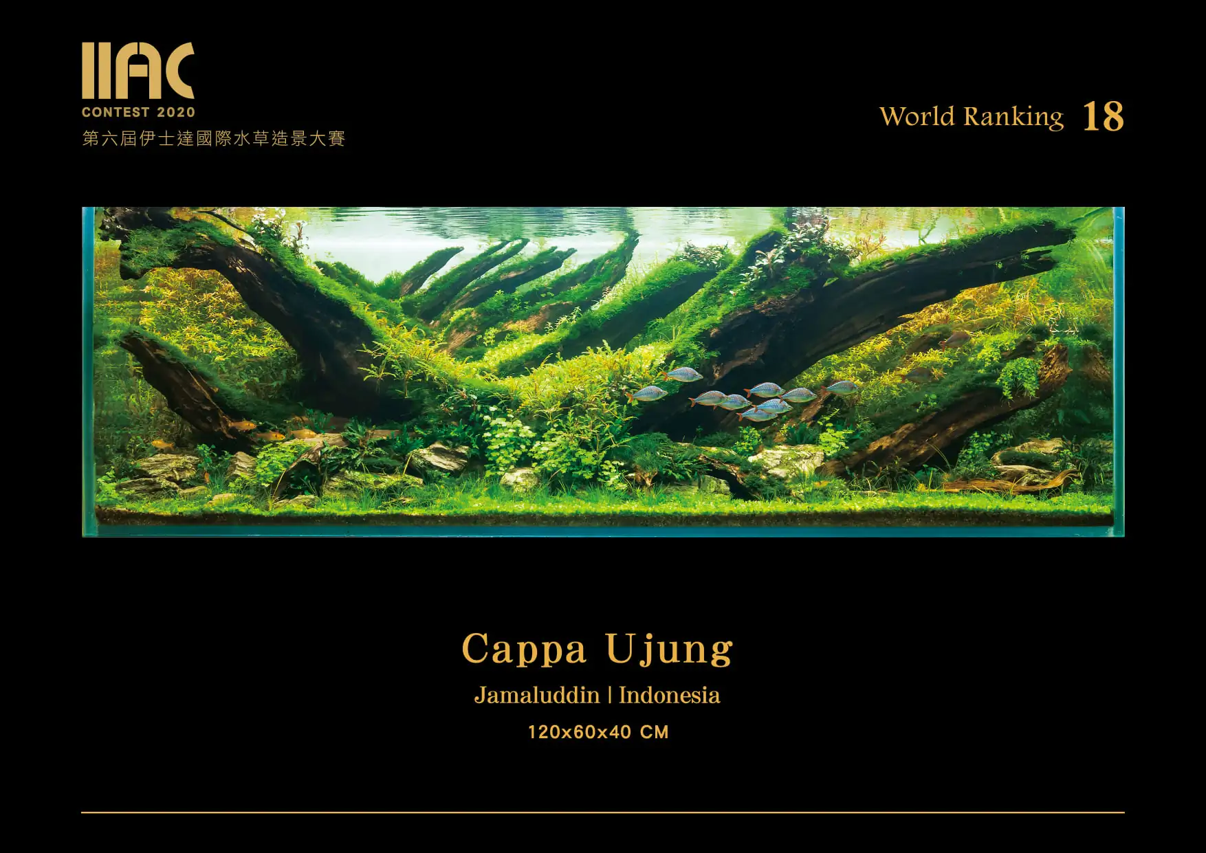 Cappa Ujung - IIAC 2020 #18 Jamaluddin / Indonesia