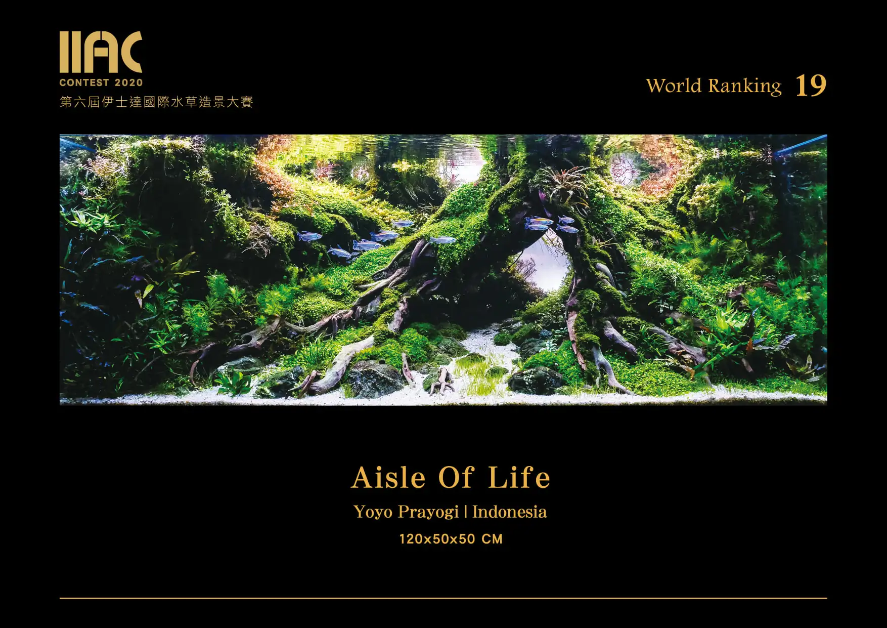 Aisle Of Life - IIAC 2020 #19 Yoyo Prayogi / Indonesia